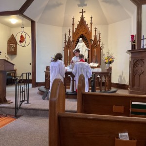 IMG 4237